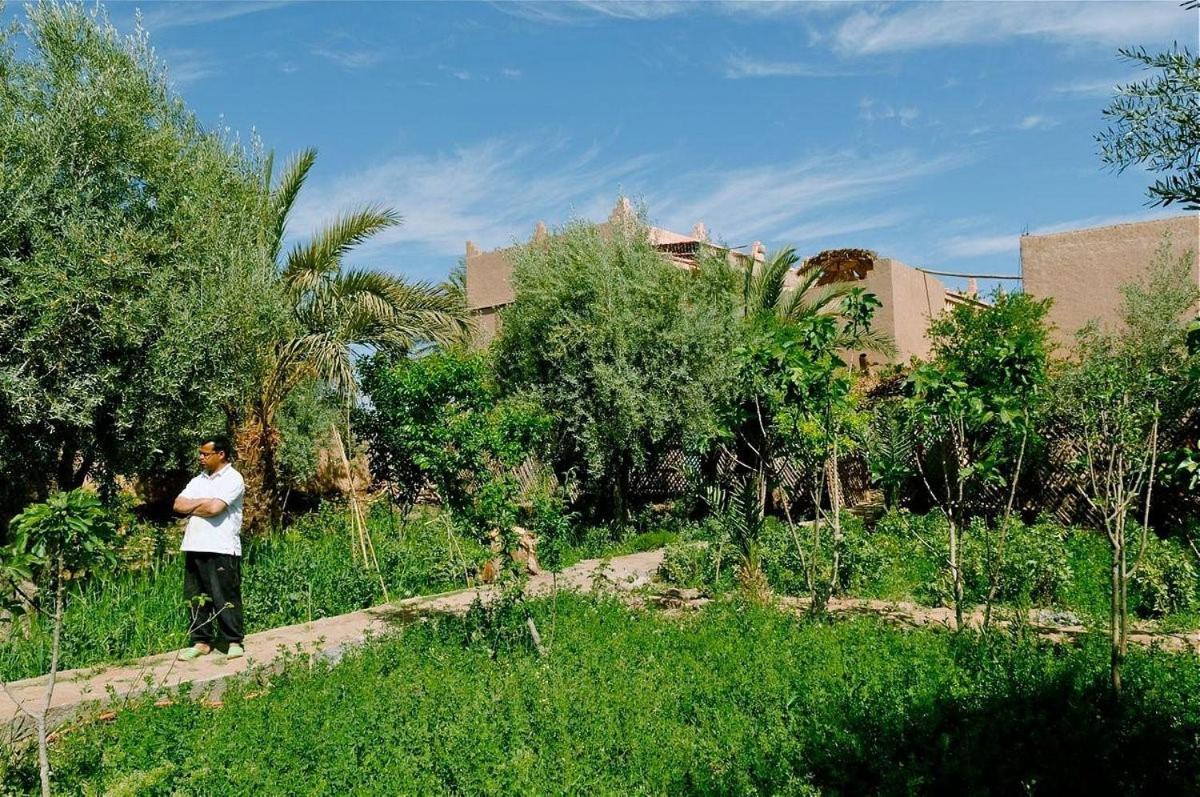 Gite Kasbah La Palmeraie Скура Екстериор снимка