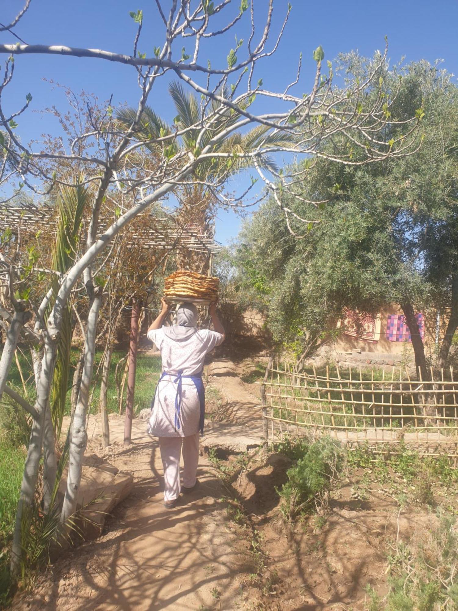 Gite Kasbah La Palmeraie Скура Екстериор снимка