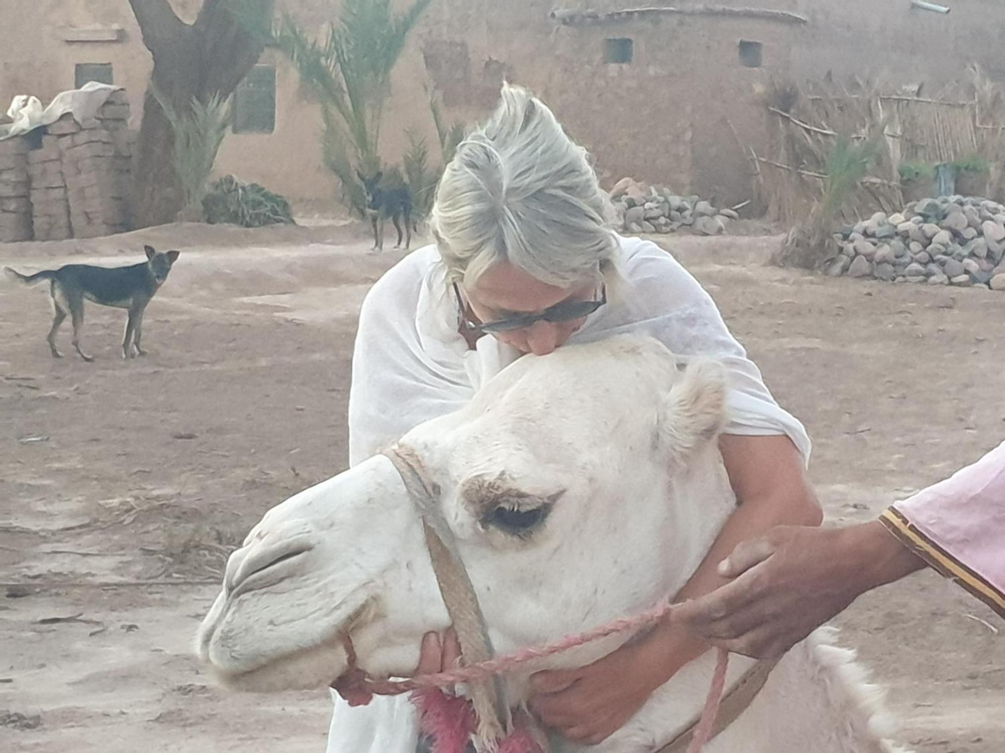 Gite Kasbah La Palmeraie Скура Екстериор снимка