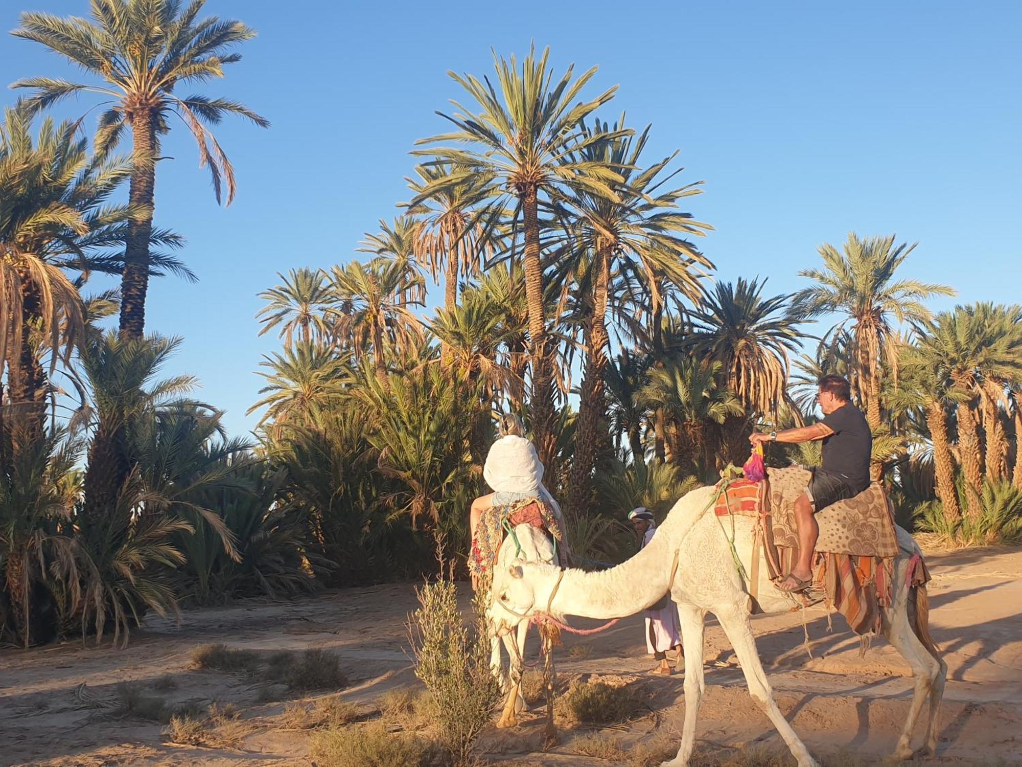 Gite Kasbah La Palmeraie Скура Екстериор снимка