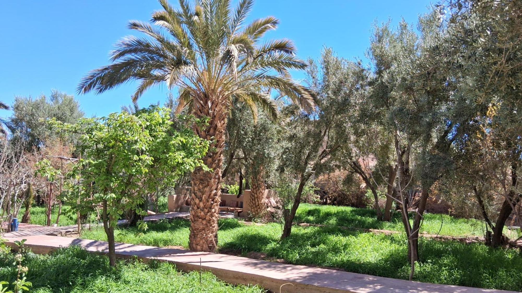Gite Kasbah La Palmeraie Скура Екстериор снимка