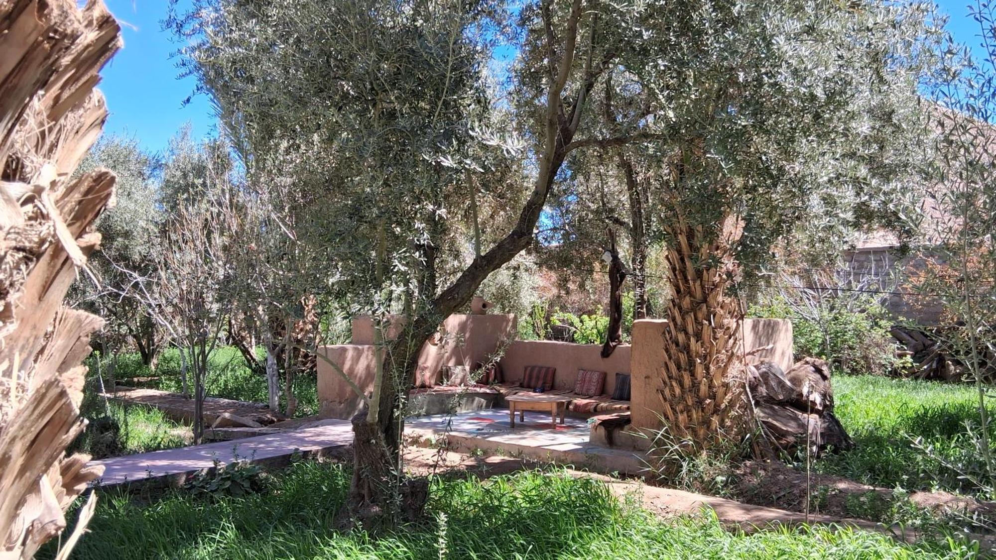 Gite Kasbah La Palmeraie Скура Екстериор снимка