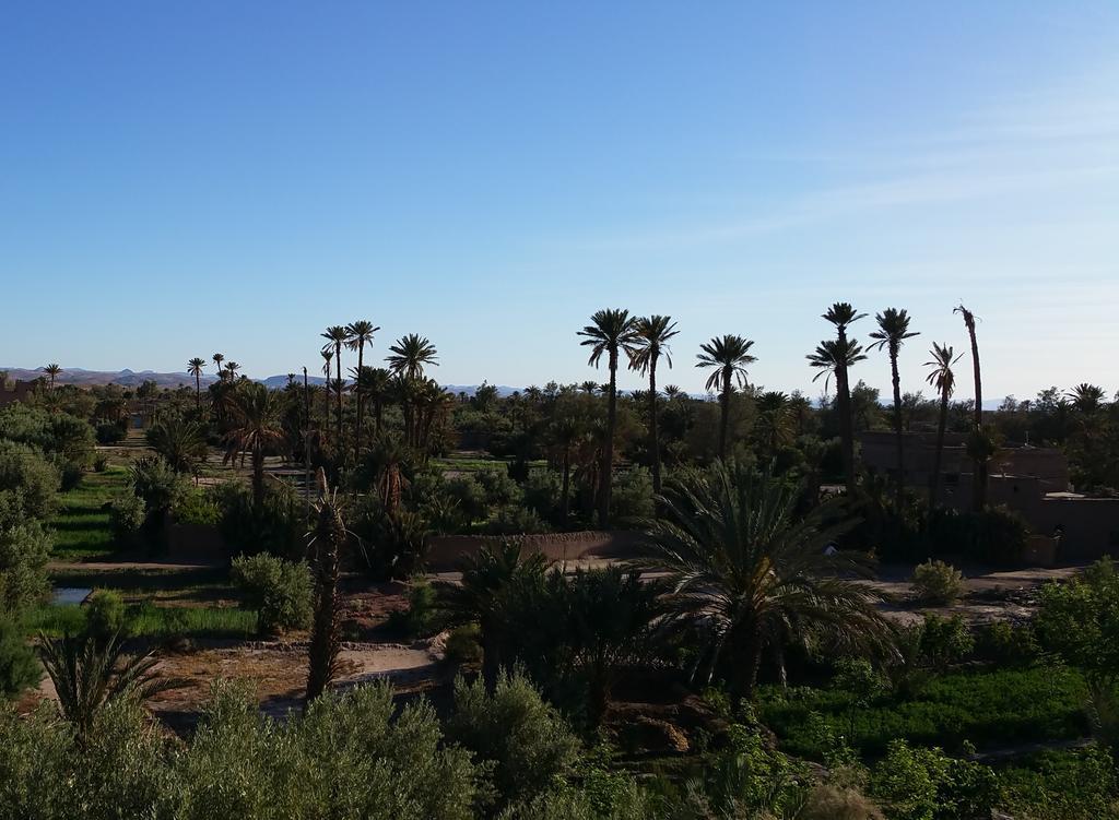 Gite Kasbah La Palmeraie Скура Екстериор снимка