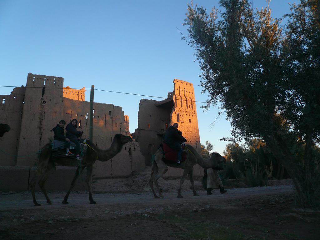 Gite Kasbah La Palmeraie Скура Екстериор снимка